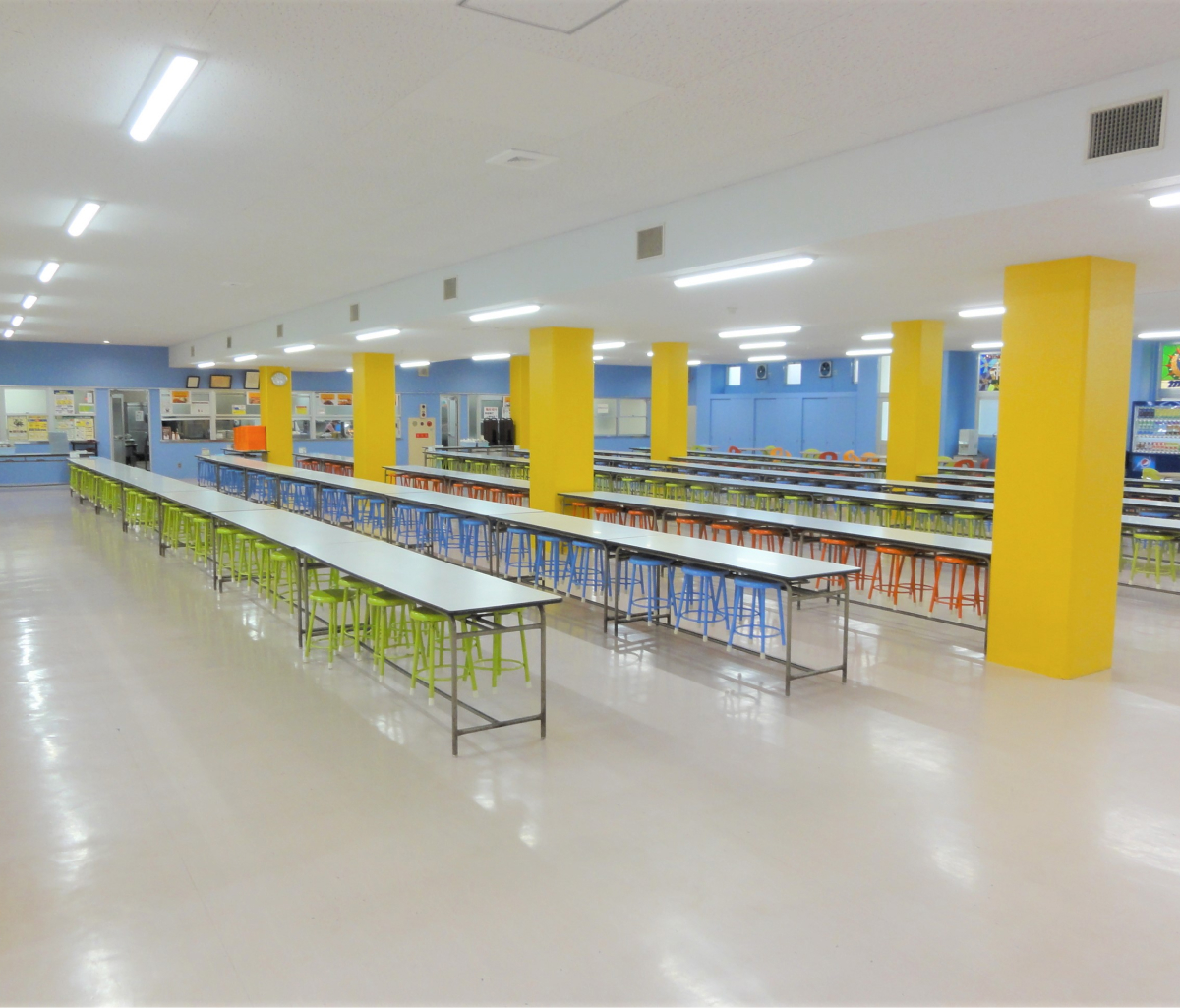 明星食堂の写真