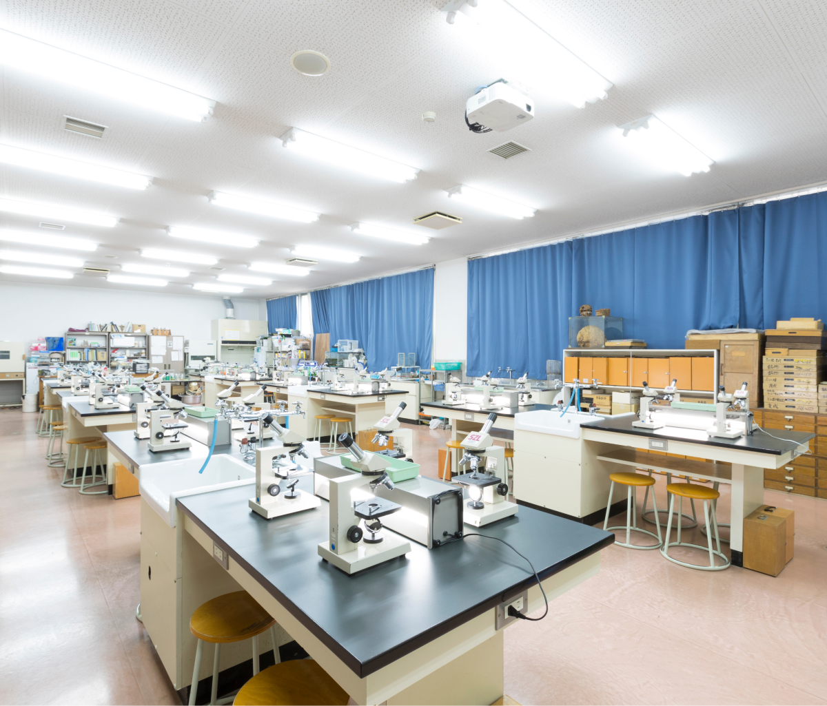 生物実験室の写真