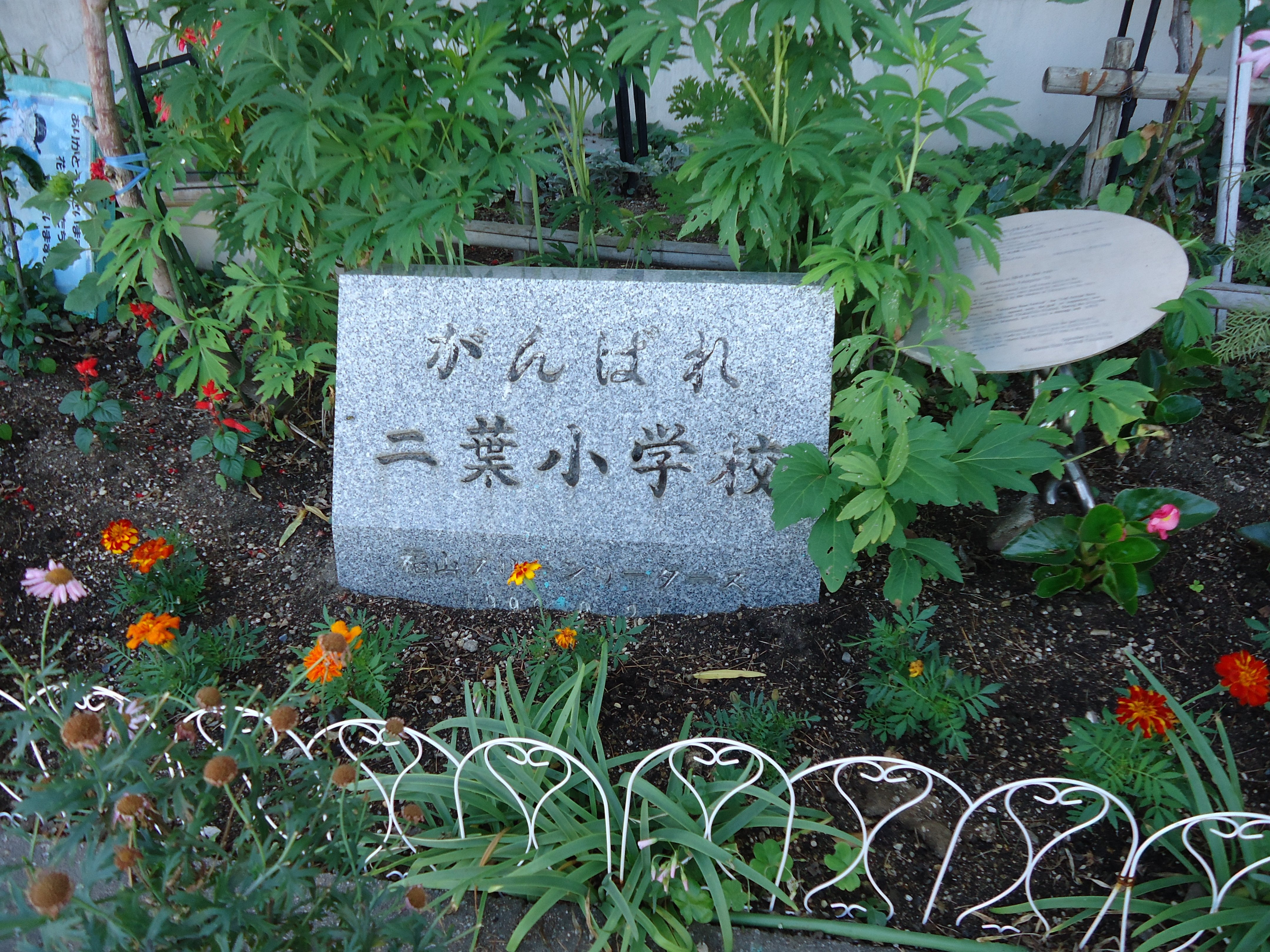 DSC04803.JPG