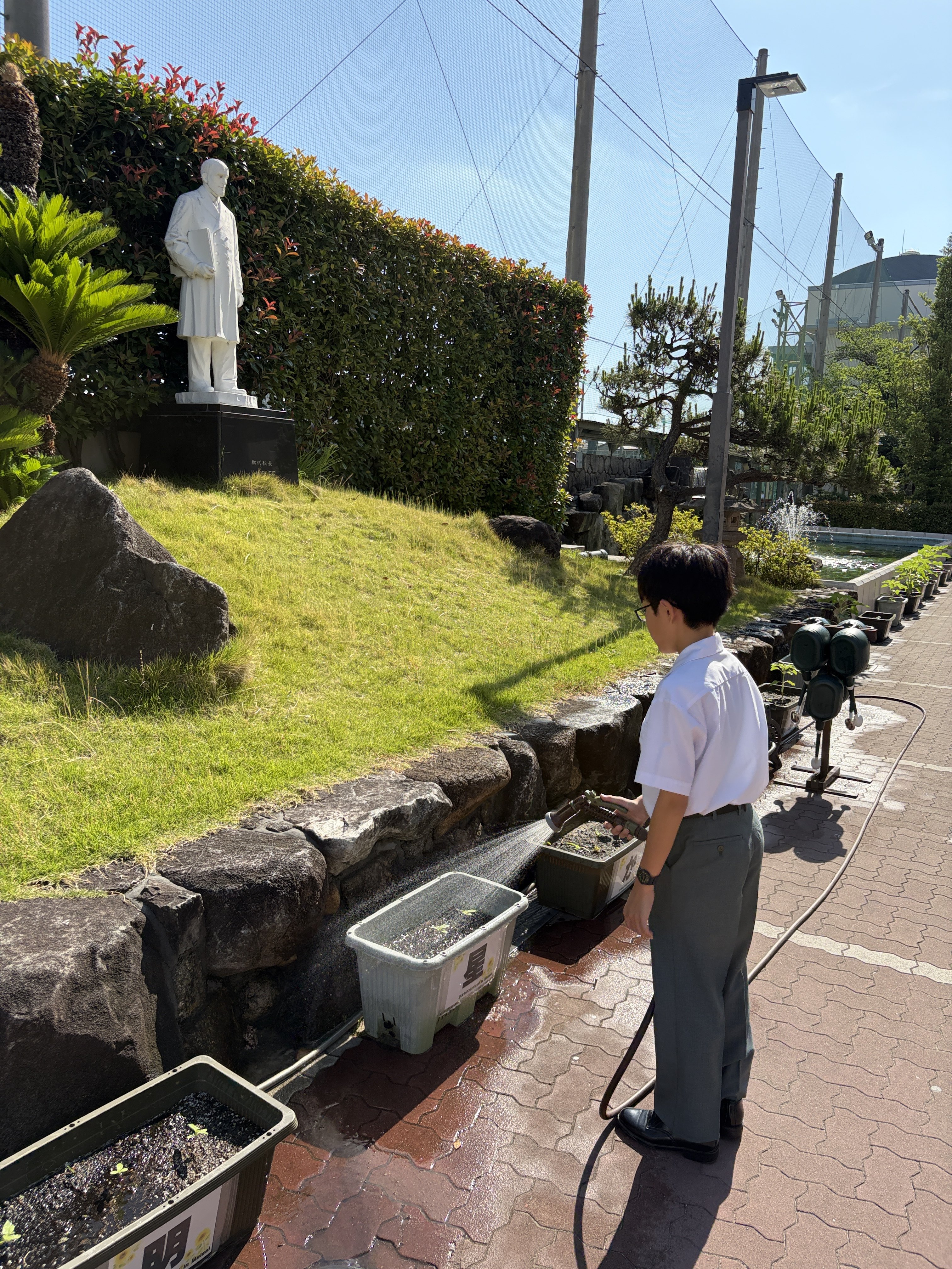 ひまわり③.JPG