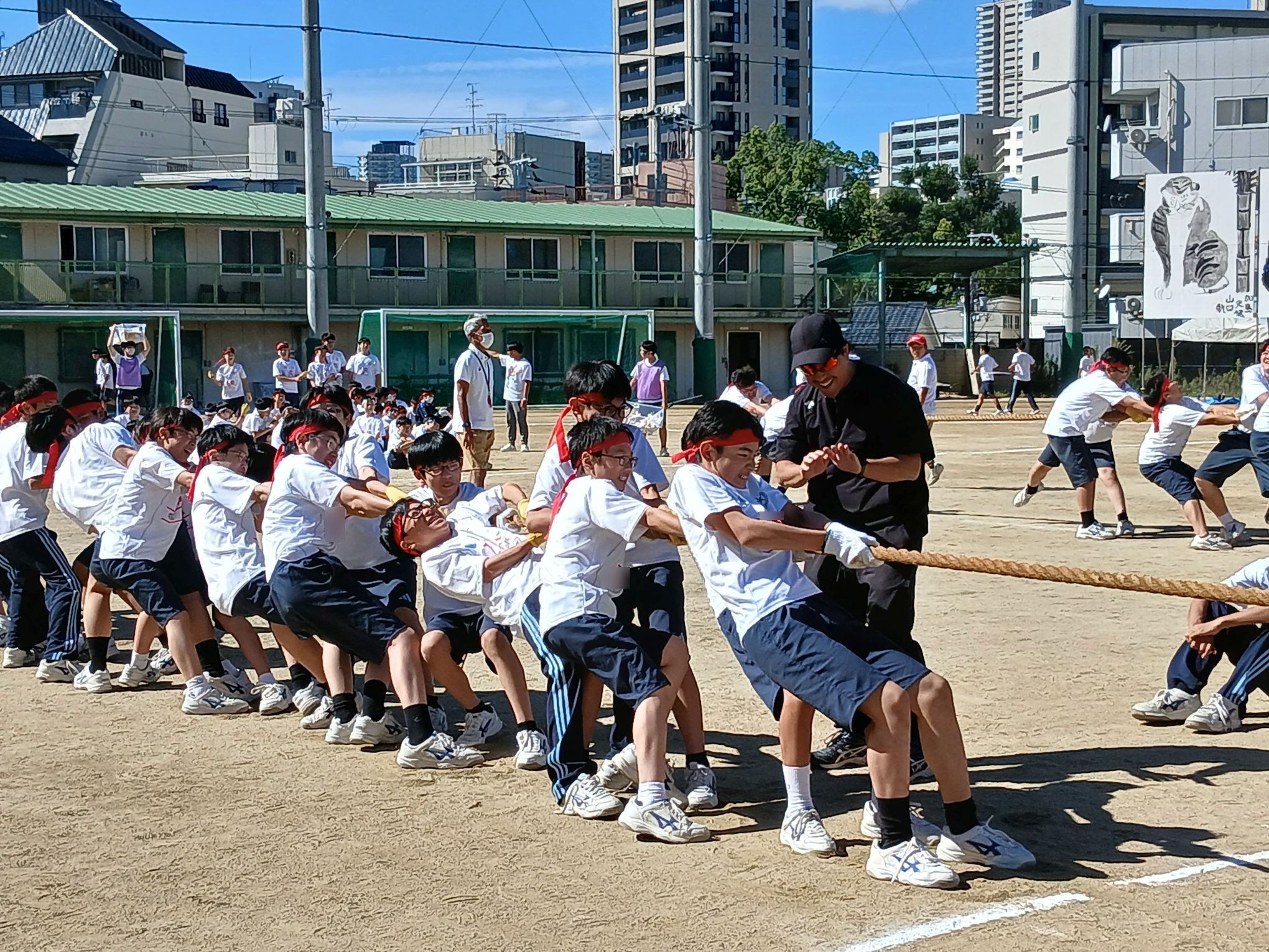 HP16.jpg